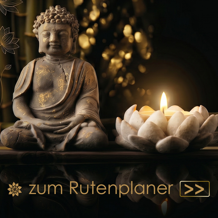 Standot Freiburg Nord